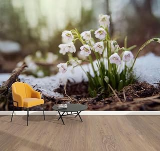 Peel & Stick Wallpaper Snowdrops Growing Ground Covered Spring Snow Removable Waterproof Wall Mural Large Vinyl Self Adhesive Wall Decals Modern Home Decor Sticker 69"x96"