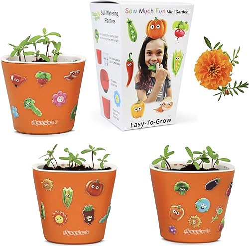 Miniatura 2 de Window Garden Sow Much Fun Seed Starting, kit de plantación y cultivo de vegetales para niños, 3 macetas de riego automático, suelo, semillas y
