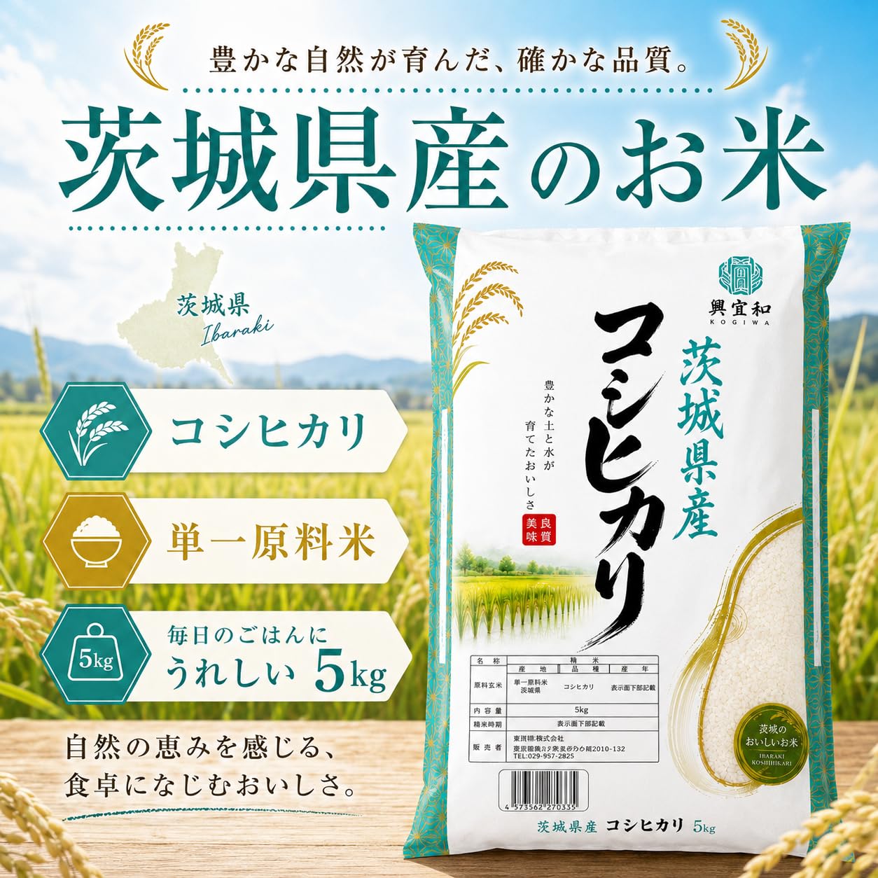 Amazon.co.jp: 【令和7年産/単一原料米/コシヒカリ】2026年9月上旬精米