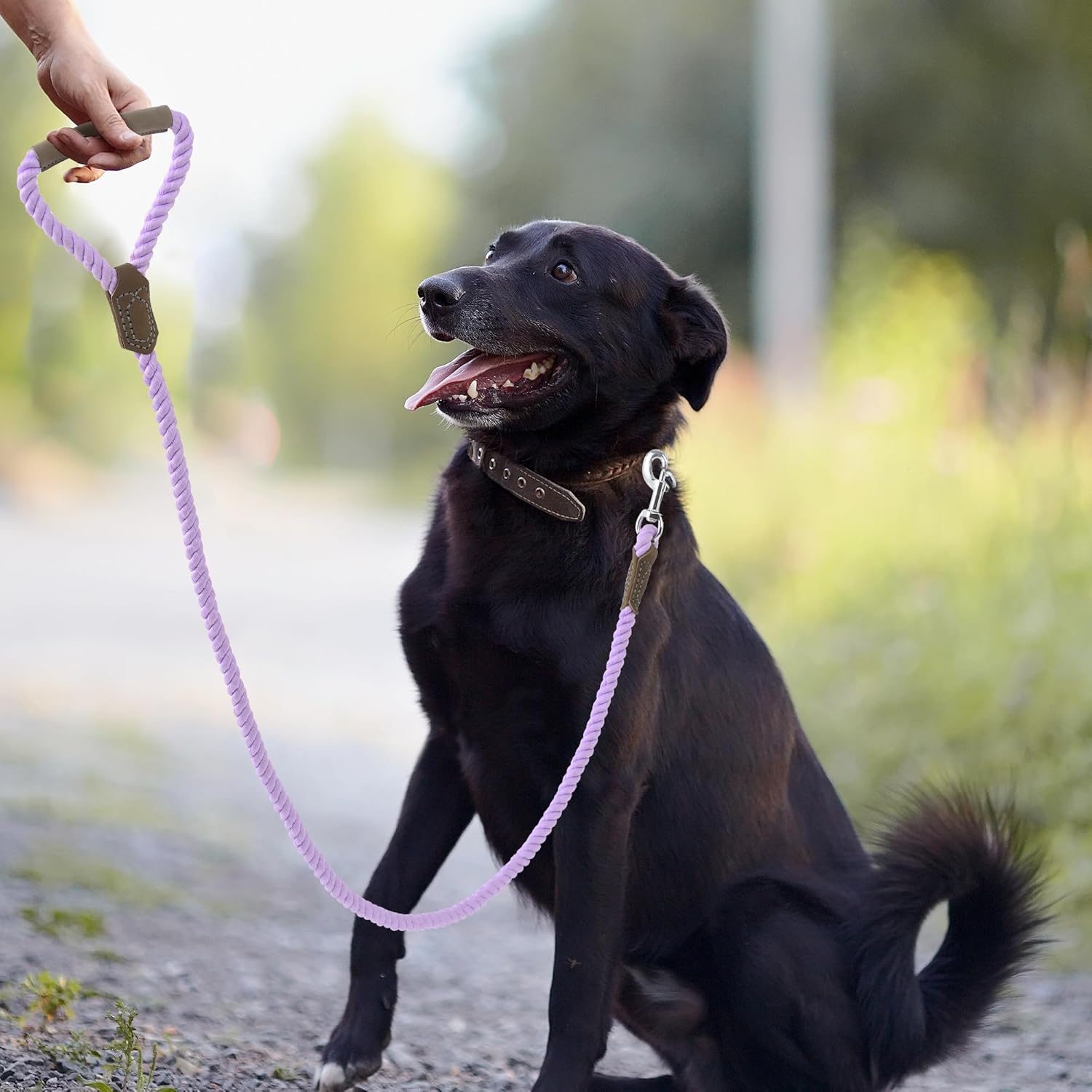 Mile High Life Dog Leash, Braided Cotton Rope Leashes with Leather Handle - Heavy Duty Metal Clasp, 6FT, 1/2" Thick - Wedding, Walking & Training Leash for Medium Large Dogs (Purple)