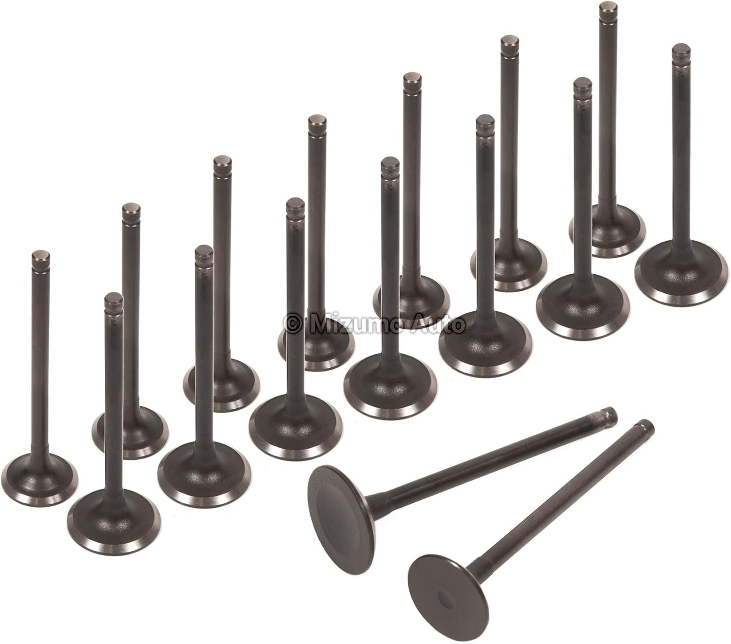 Evergreen IEV2021 Compatible With 92-01 Toyota Camry Celica MR2 Rav4 2.0 2.2 3SFE 5SFE Intake Exhaust Valves (without Valve Stem Seals)