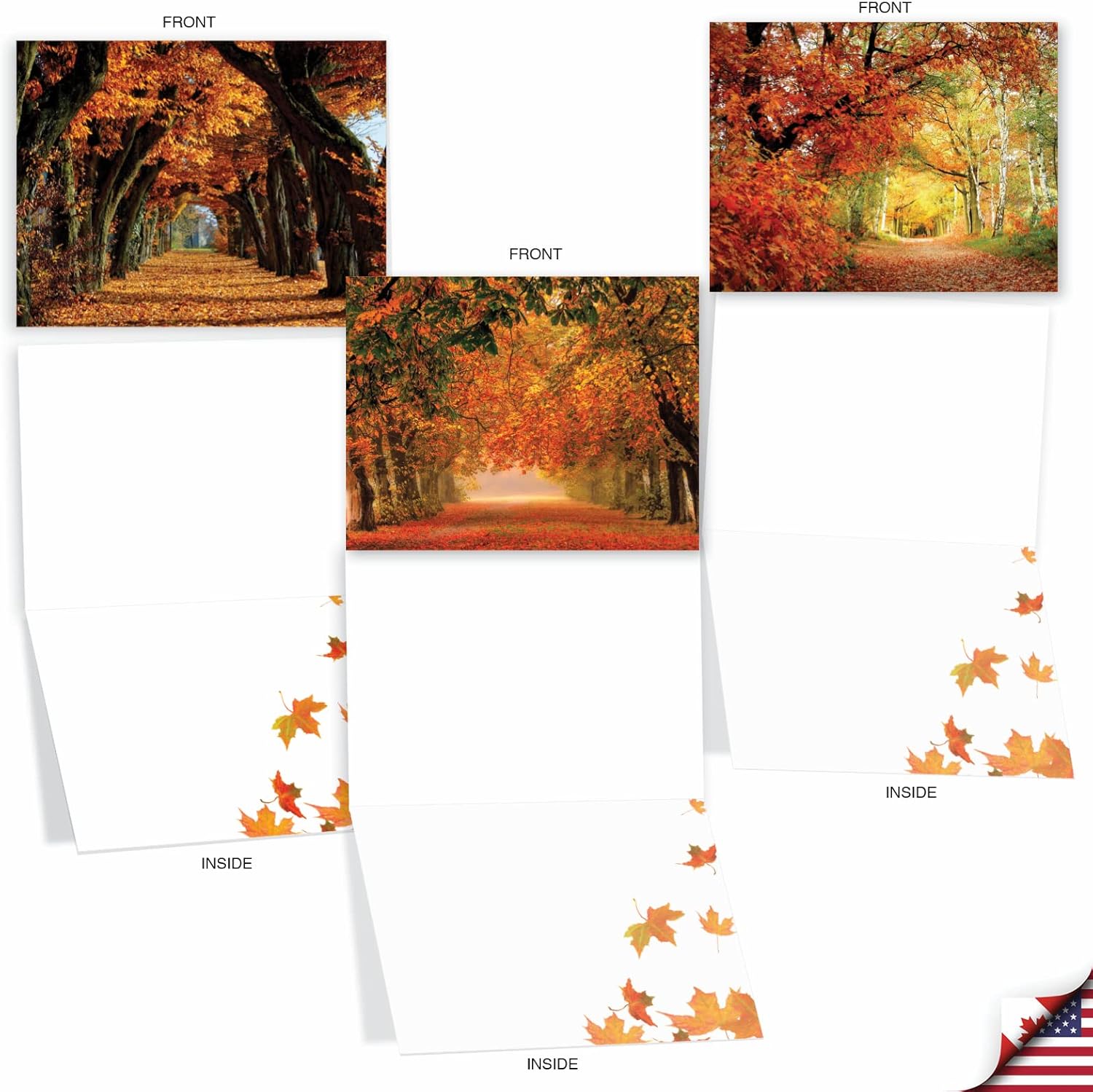 The Best Card Company - 10 Beautiful Note Cards Blank (4 x 5.12 Inch) - Fall and Autumn Season, Boxed Notecard Assortment - Fall Foliage M4971OCB-B1x10 - Image 5