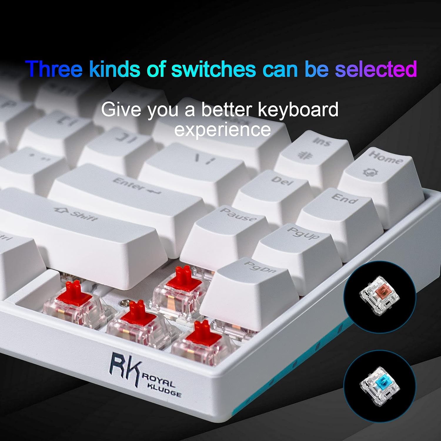 Black Friday - 60% OFF RK ROYAL KLUDGE RK71 Mechanical Keyboard 70% Compact Bluetooth Keyboard 71 Keys,Tenkeyless USB Wired/Wireless Portable Gaming/Office with Stand-Alone Arrow Keys for Windows MacOS (Blue Switch-White)