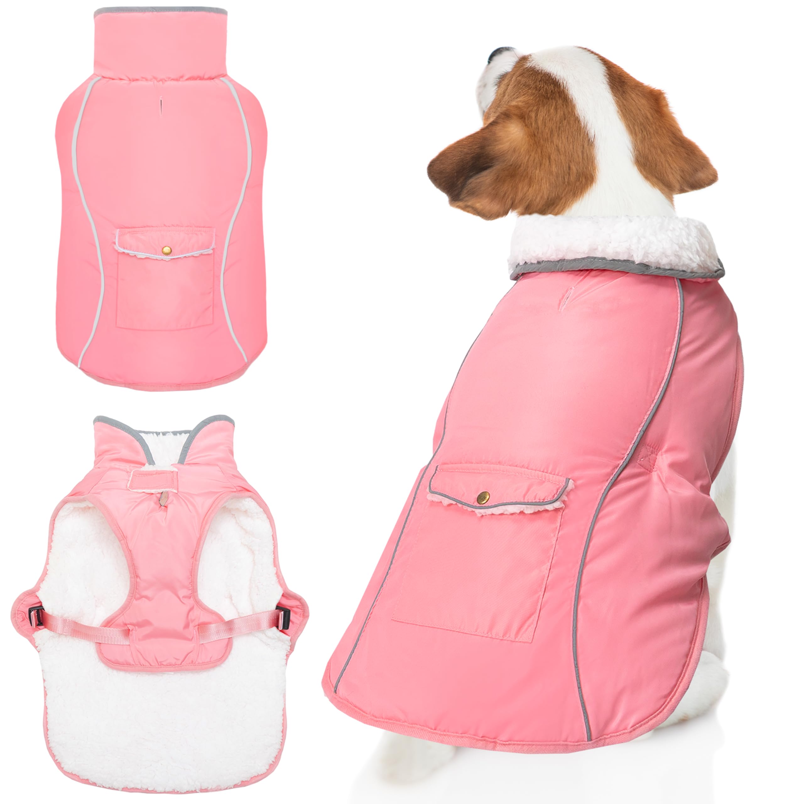 Manteau d'hiver pour chien protégeant les petits chiens du vent et du gel