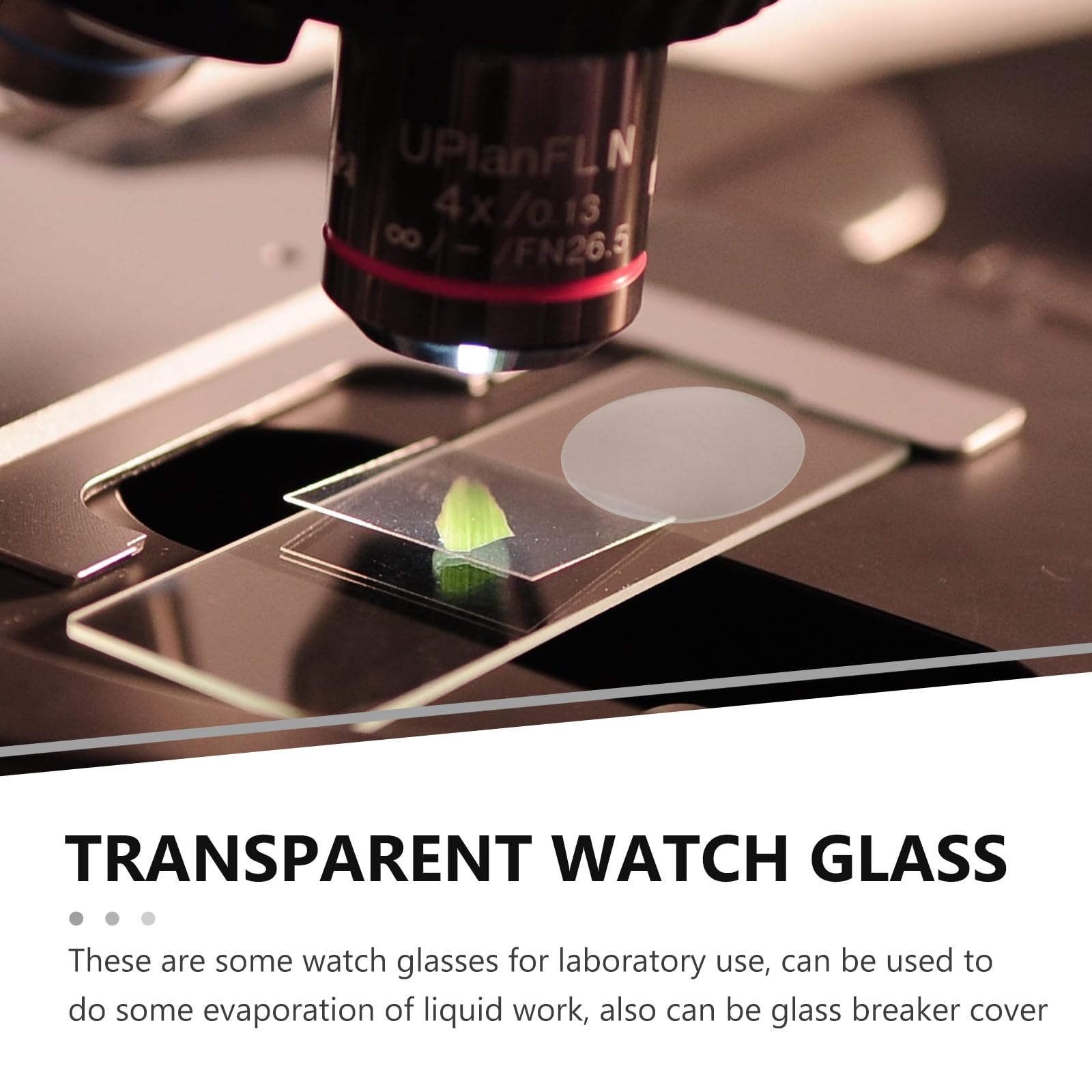 10Pièces Lot Verre de Montre Transparent pour Laboratoire Verres de Montre et Plans Résistants à Haute Température pour Expériences Scientifiques et Écoles