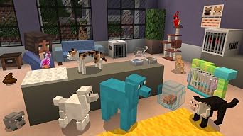 Minecraft Bedrock (PS4)