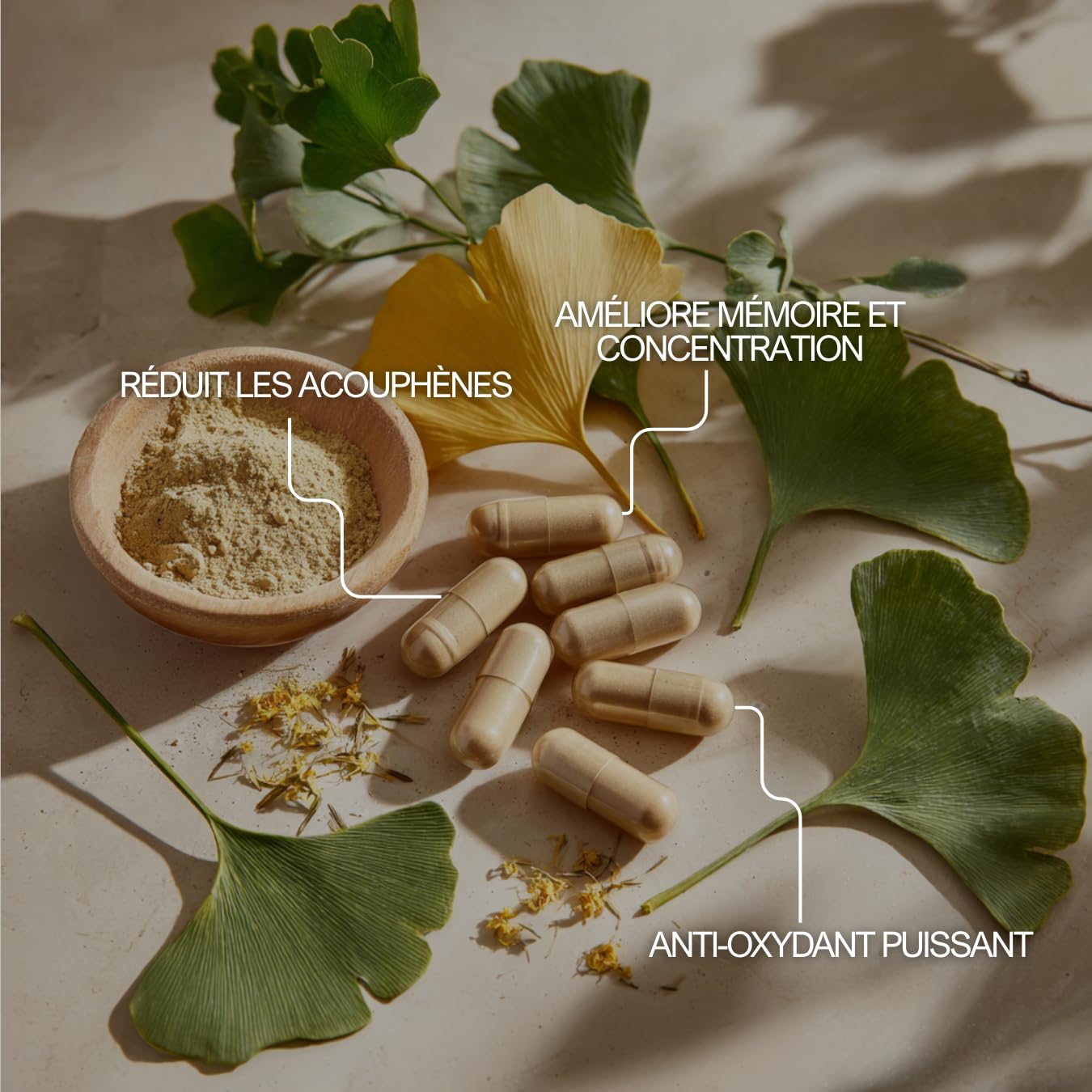 Ginkgo Biloba – Mémoire, Concentration & Circulation Sanguine – 60 Gélules
