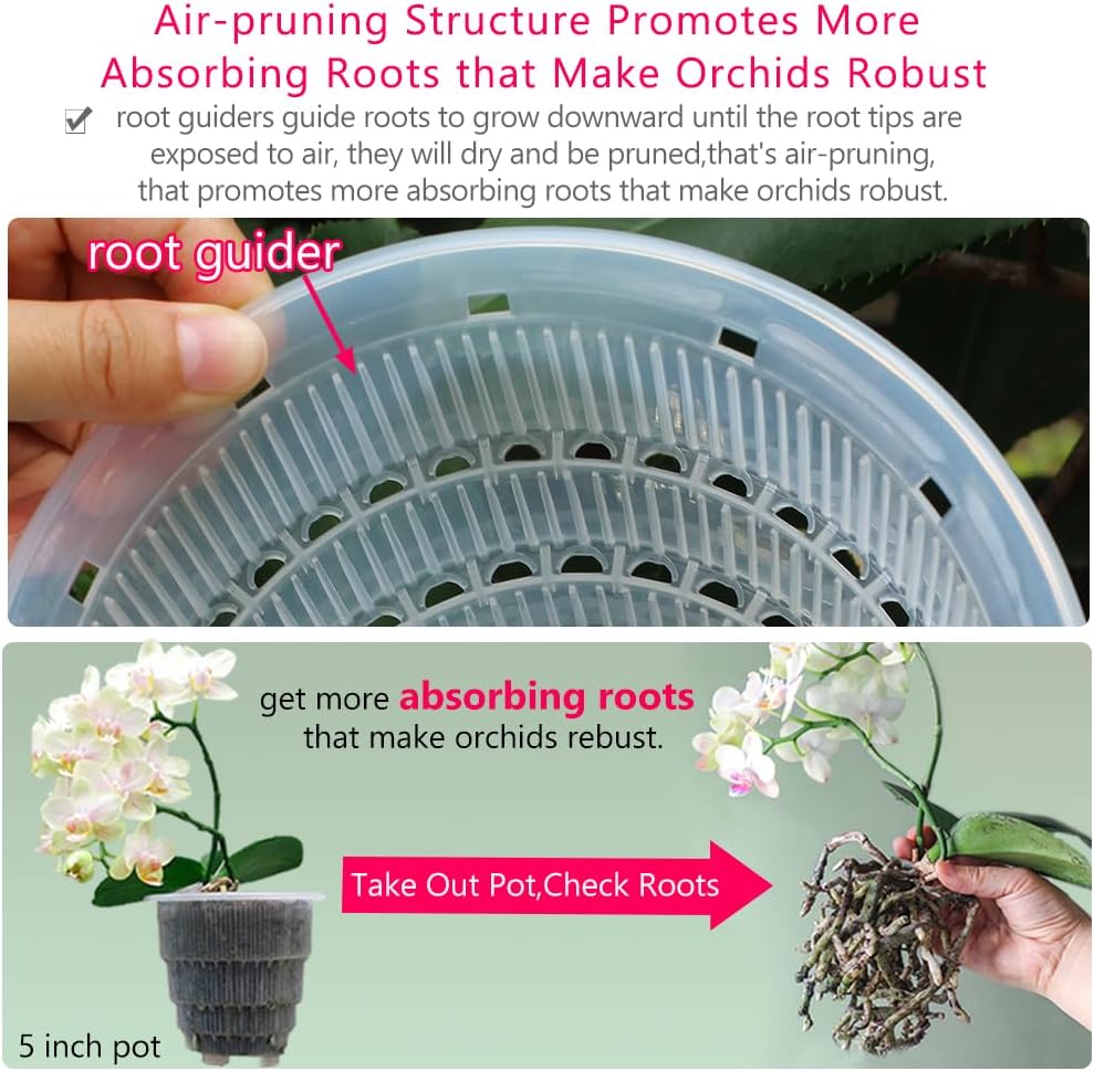 6 inch Clear Orchid Pots with Holes and Saucers for Repotting,Pack of 4,Small Plastic Orchid Planters Provide Good Air Circulation,Nursery Pots for Succulents,Herbs,Aloes,Mint