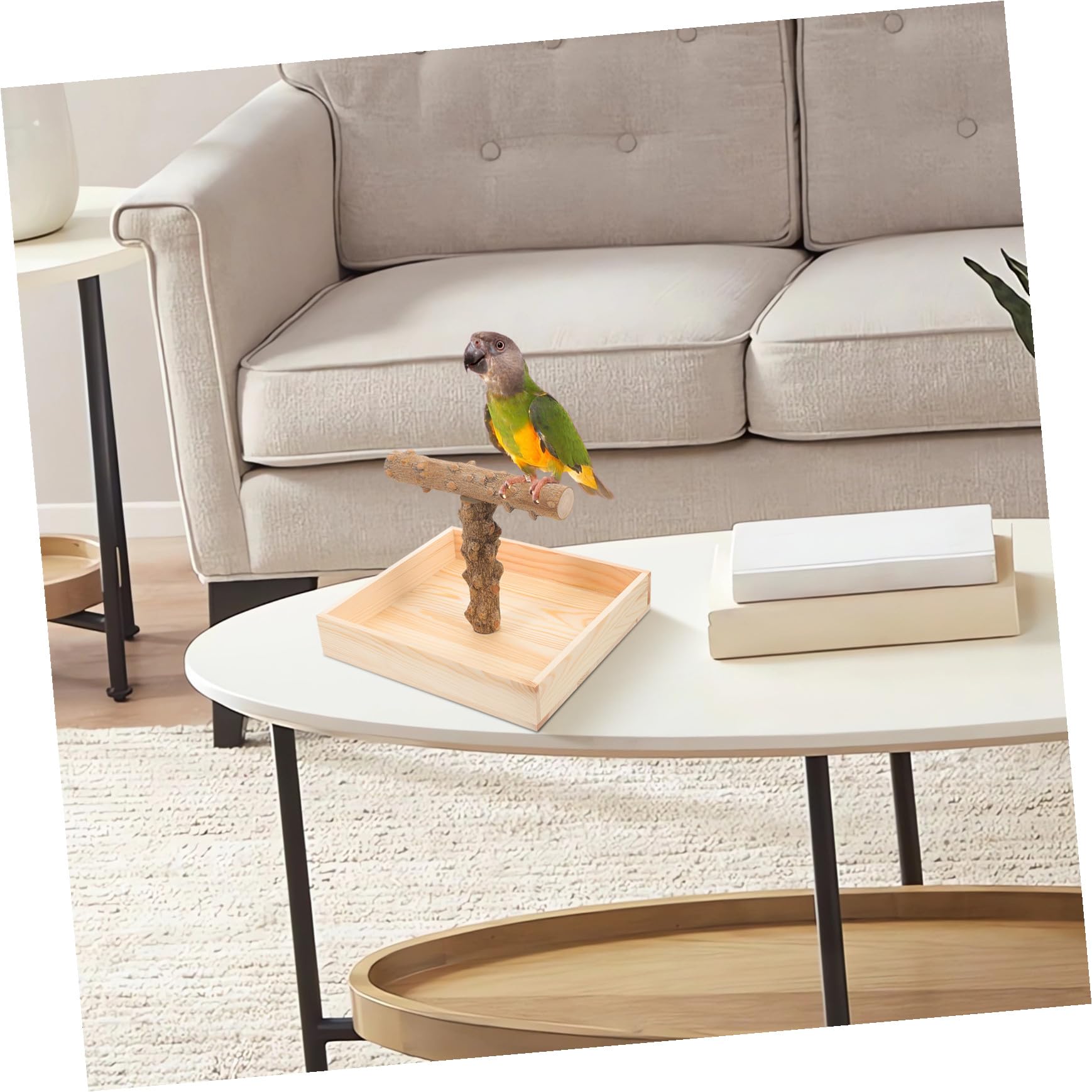 Soporte de Madera para Pájaros y Percha Estable para Periquitos y Ninfas Entrenamiento y Alimentación Jaulas y Mesas Accesorio Seguro y Decorativo para Aves Pequeñas
