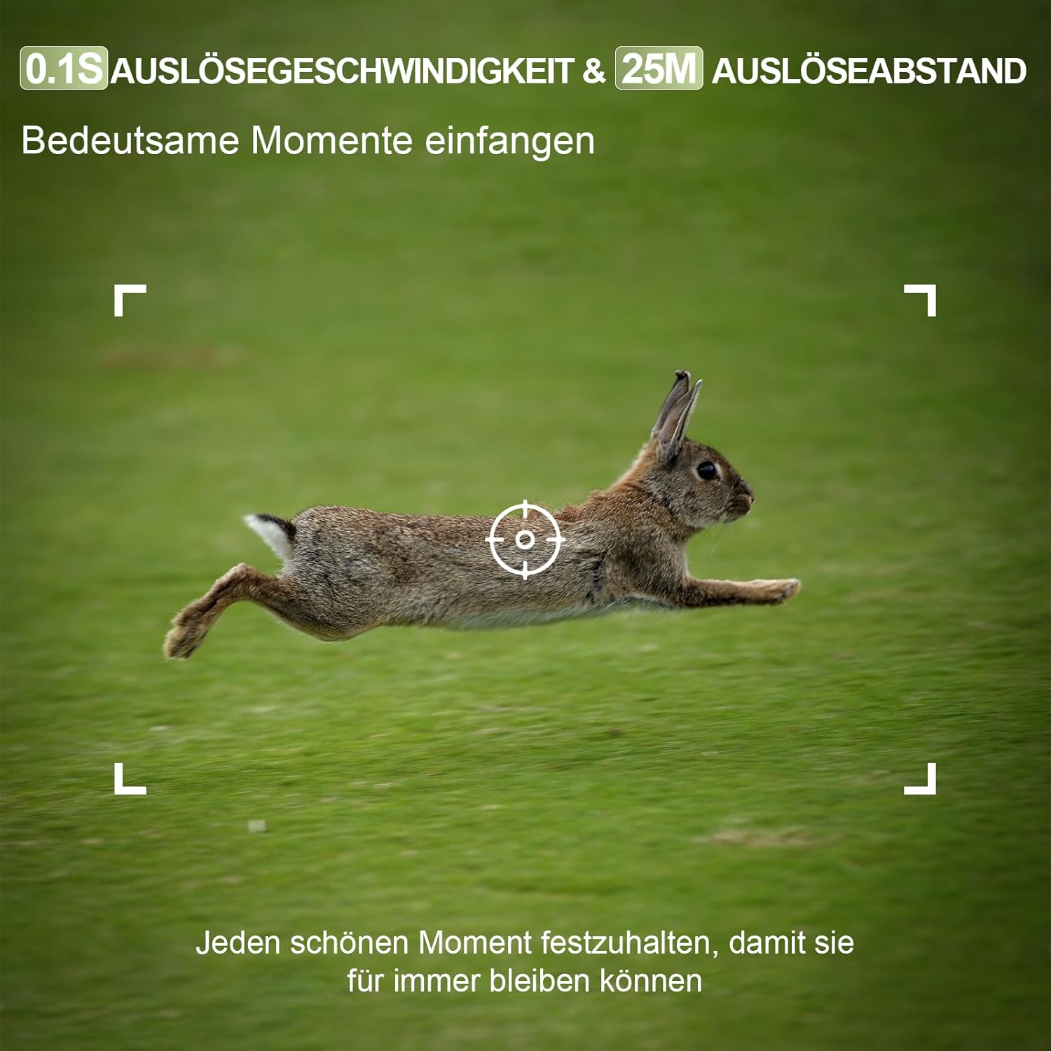 A rabbit in mid-air, illustrating the 0.1 second trigger speed of the Lutranstra PR5000-WF Wildcamera.