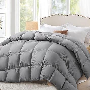Globon Down Comforter Queen Size,All Season Duvet Insert Ultra-Soft Noiseless Shell,Mediumweight with 8 Corner Tabs, Grey