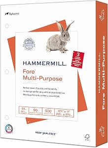 Hammermill Printer Paper, Fore Multipurpose 24 lb Copy Paper, 3 hole - 1 Ream (500 Sheets) - 96 Bright, Made in the USA
