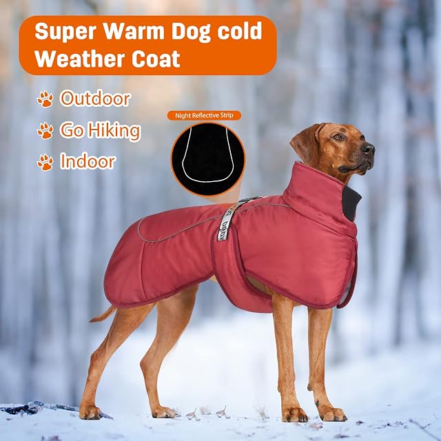 Foto 5 de 6 de PETCUTE Chaqueta de Perro Invierno