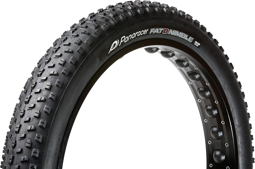 Amazon | パナレーサー(Panaracer) クリンチャー タイヤ [29×3.0] [700