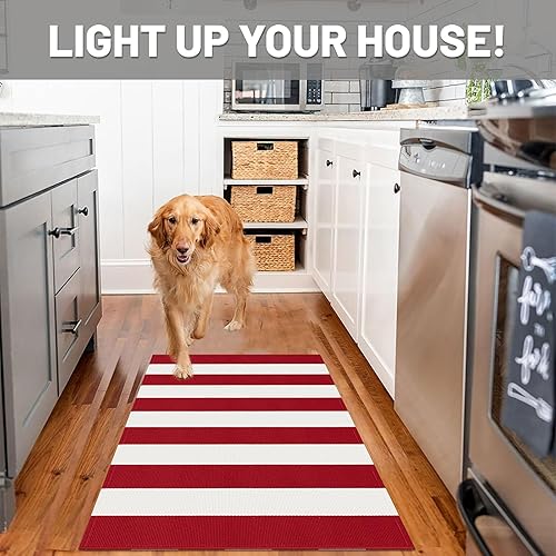 Miniatura 159 de IOHOUZE - Tapete a cuadros estilo búfalo de 5 x 8 pies para interiores y exteriores, lavable, para sala, tapete de bienvenida primavera-verano