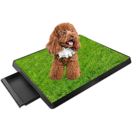 fake patch of grass dog