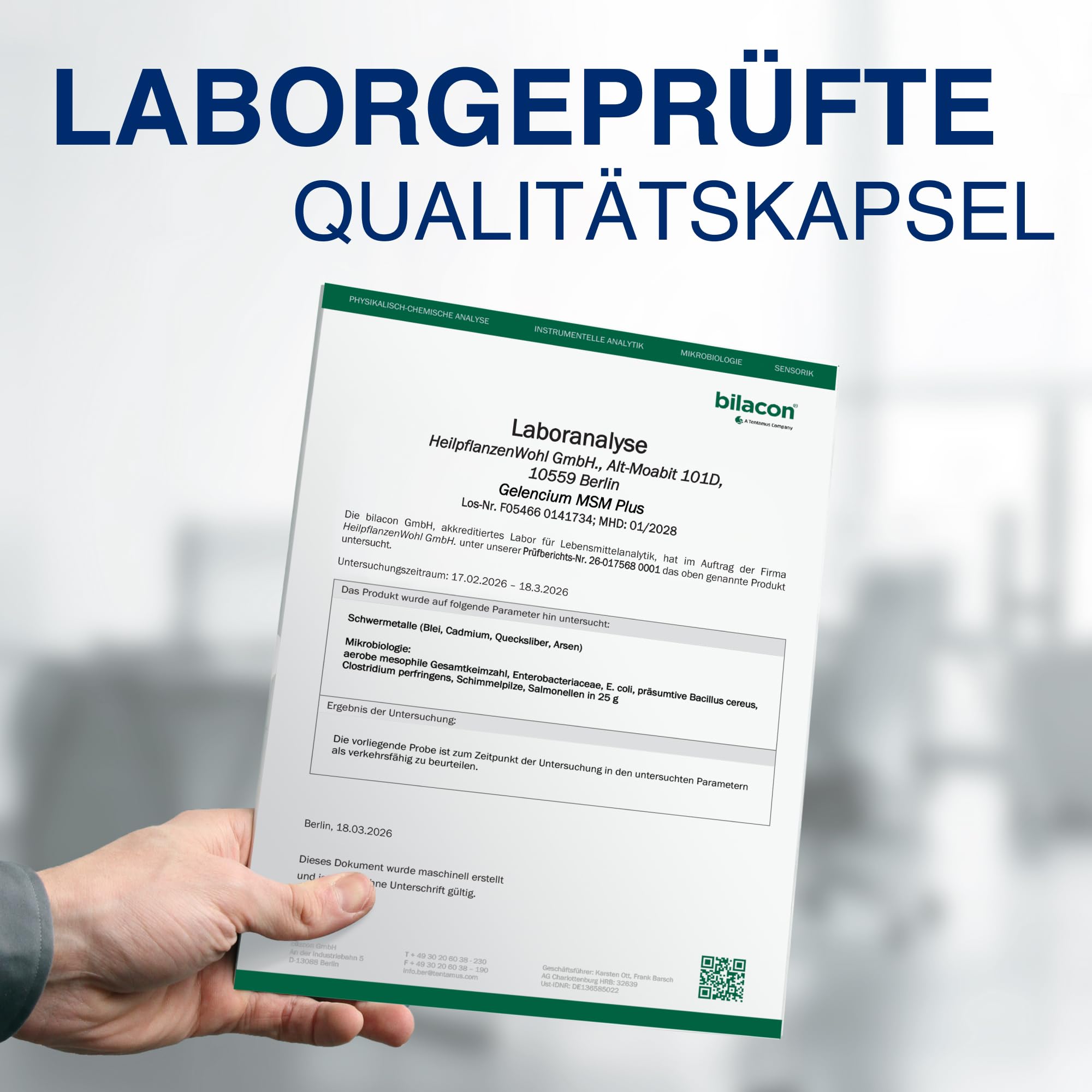Gelencium MSM Plus hochdosiert – 2.000 mg MSM aus Kiefern – 120 Kapseln | Mit Vitamin C für die Kollagenbildung (Knorpel & Knochen) · 2.000 mg MSM aus Kiefern pro Tagesdosis · Plus Zink & Mangan