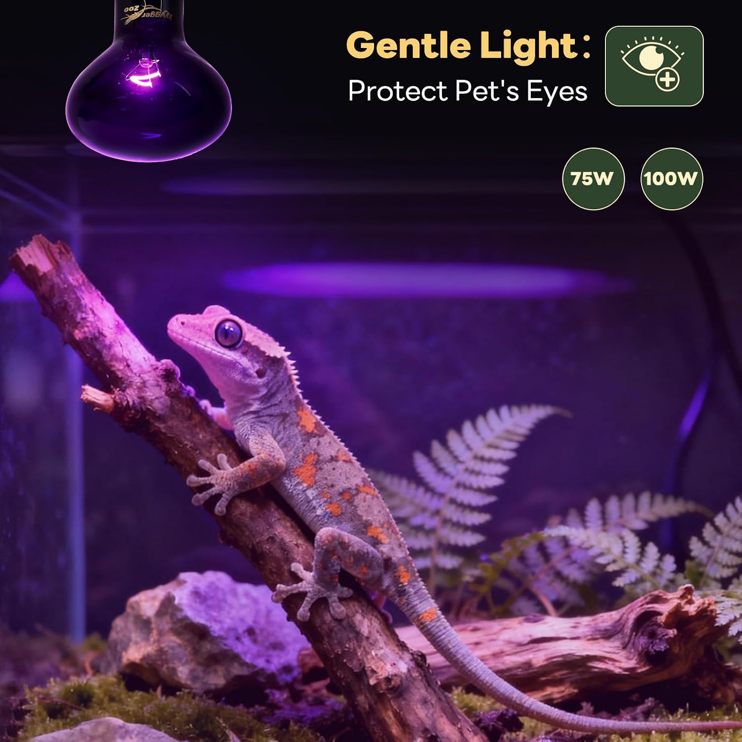 Reptile Heat Lamp, 2 Pack 100W Heat Lamp Bulbs Reptile Night Heat Bulb Basking Light for Bearded Dragon Chameleon Turtle Snake Gecko Lizard Chicken Tank Accessories, Purple