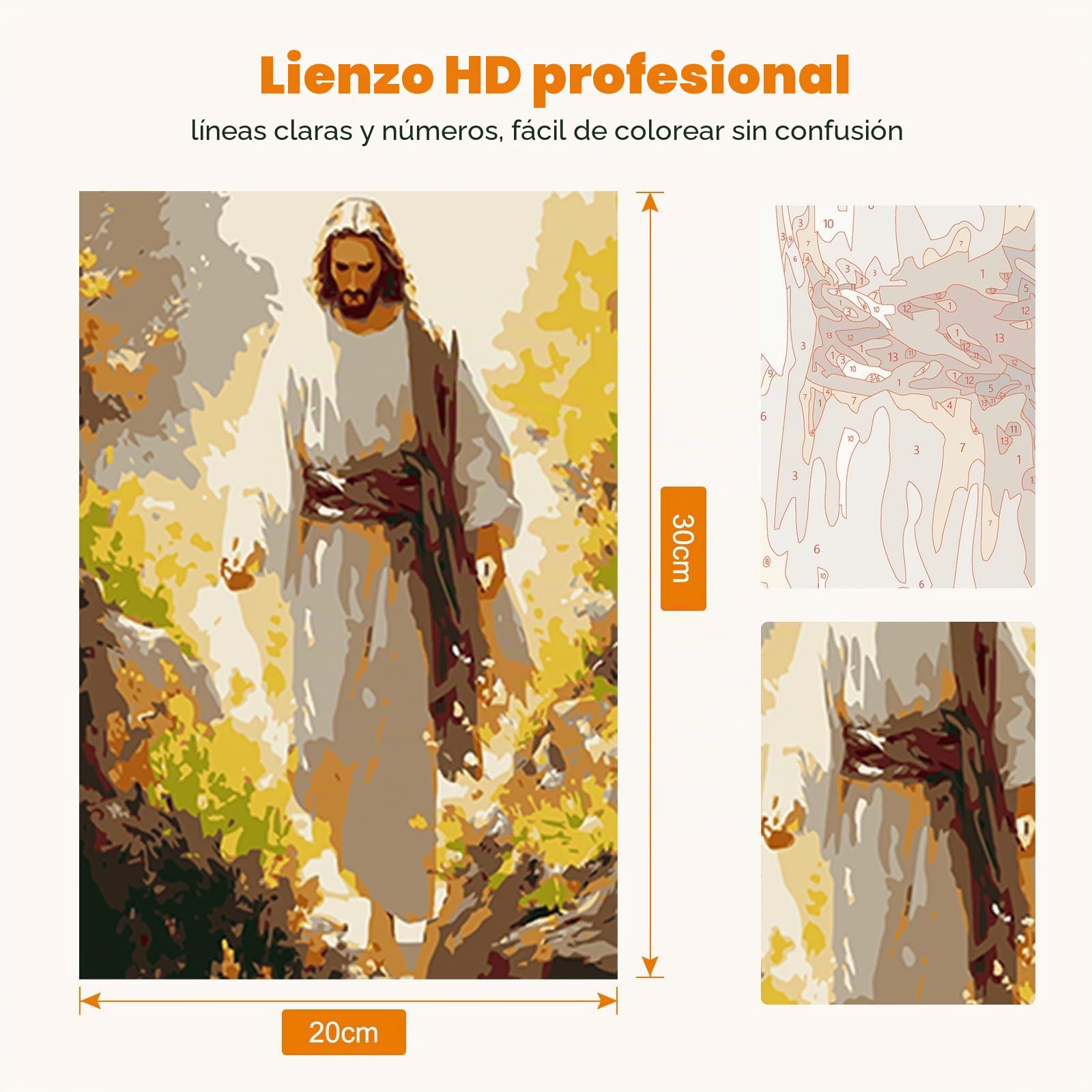 RICUVED Jesús Pintura por Números 20x30cm para Adultos y Niños con Marco de Madera -Jesús Kit Completo con Pinceles, Pinturas y Lienzo para Decoración de Pared y Regalo Creativo