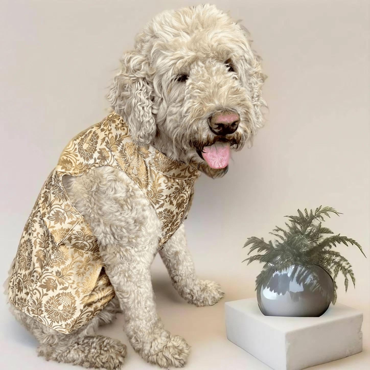 Waggy Fits Traditional Dog Sherwanis - Perfect for Weddings and Celebrations, Dog Clothes, pet cosutme, Indian pet Clothing, Dog Jacket | Floral Mocha
