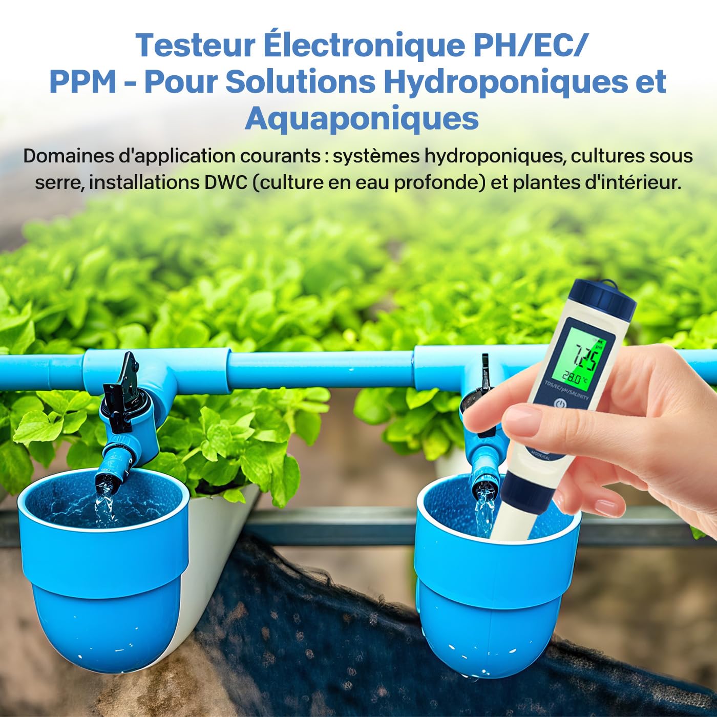 Ph Metre, 5 en 1 PH/TDS/EC/Salinité/Thermomètre, Testeur ph à Écran LCD, Testeur pH Piscine IP67 Étanche, pH Metre Haute Précision (± 0.01), Adapté à l'Eau Potable, Aquariums, Piscin