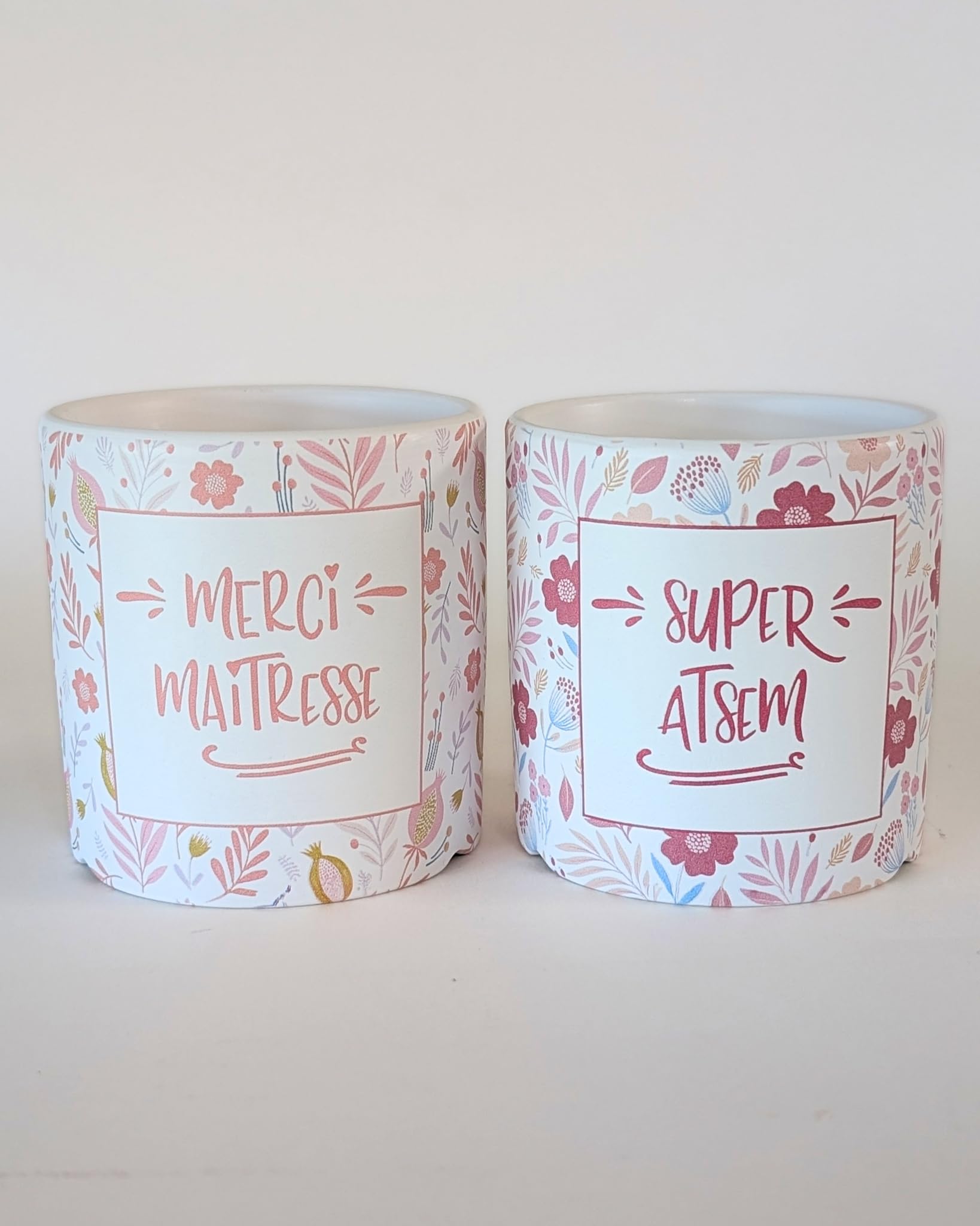 Cadeau maitresse d'école original : pot de fleurs personnalisé Merci de m'avoir aidé à grandir