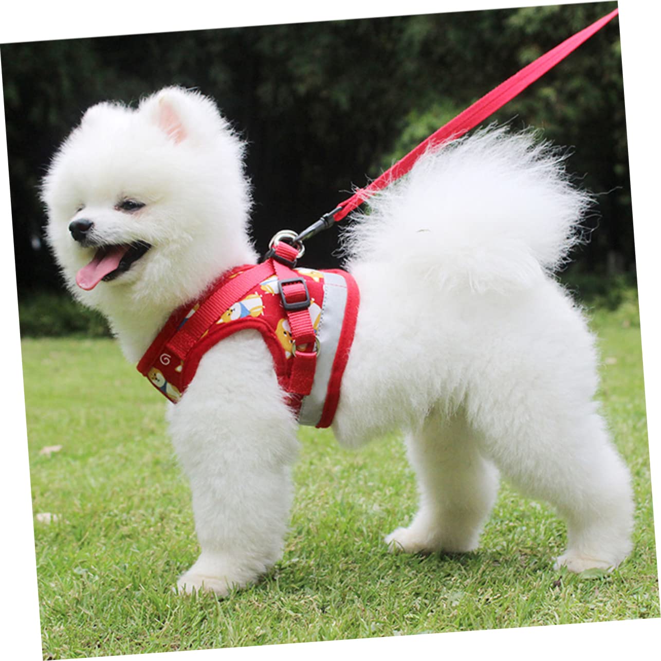 BESPORTBLE 3piezas Arnés para Perros Pequeños Correa Diseño Creativo y Ligero Arnés Antiescape para Cachorros Rojo s