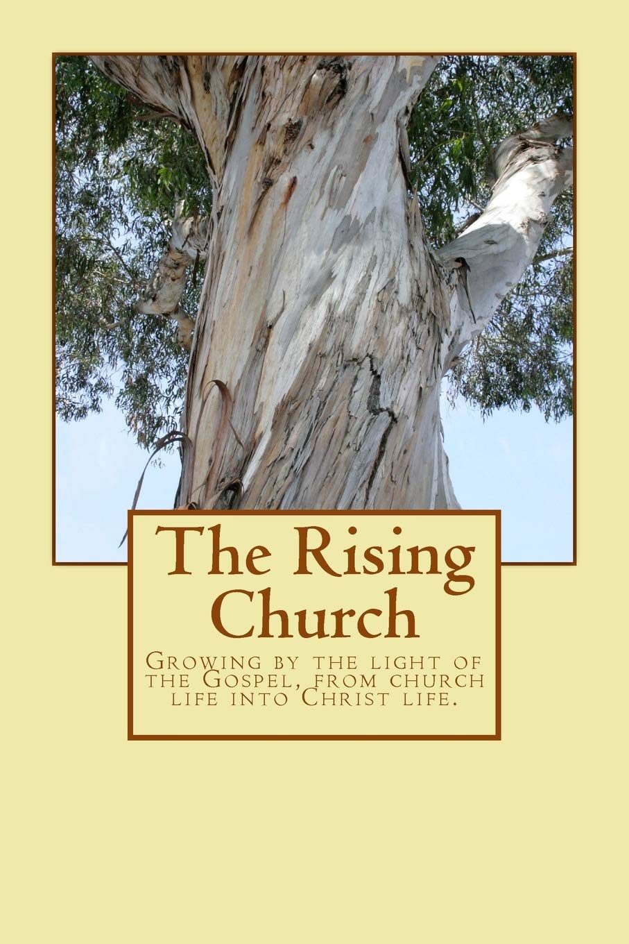 The Rising Church: Growing by the light of the Gospel, from church life into Christ life.: Volume 4 (River City Church publications)