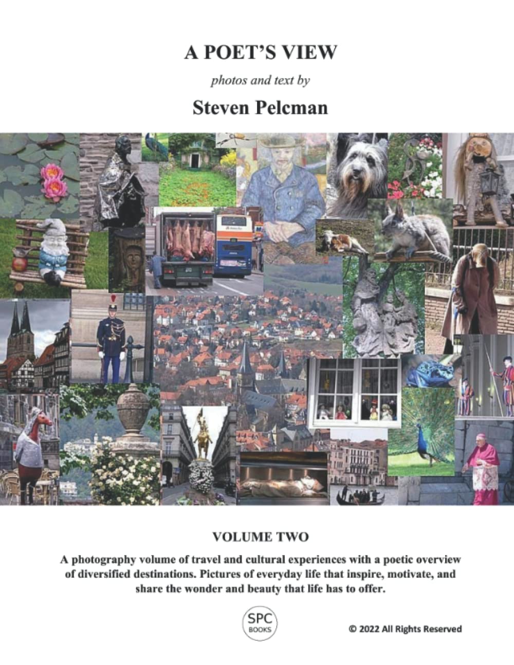 A POET'S VIEW VOLUME TWO le cadeau idéal pour amateurs de poésie