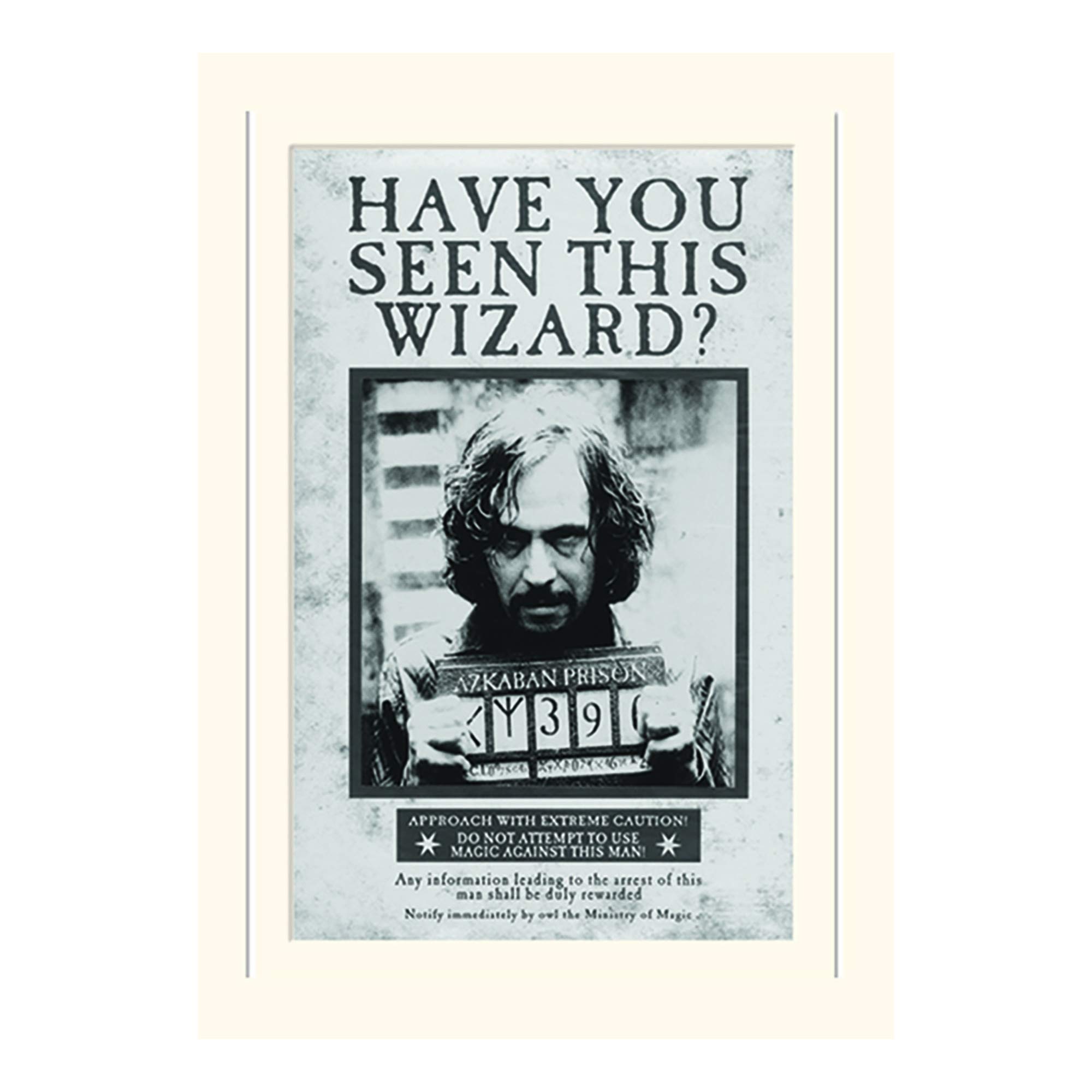 Pyramid International Harry Potter Sirius Wanted Mounted Print Memorabilia, Multi-Colour, 30 x 40 x 1.3 cm