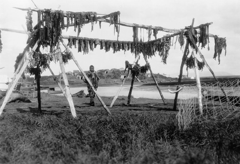 Alaska Whale Meat C1929 Nan Eskimo Man Standing Under A Structure With Whale Meat Hanging To Dry Hooper Bay Alaska Photographed By Edward S Curtis C1929 Poster Print by (18 x 24)