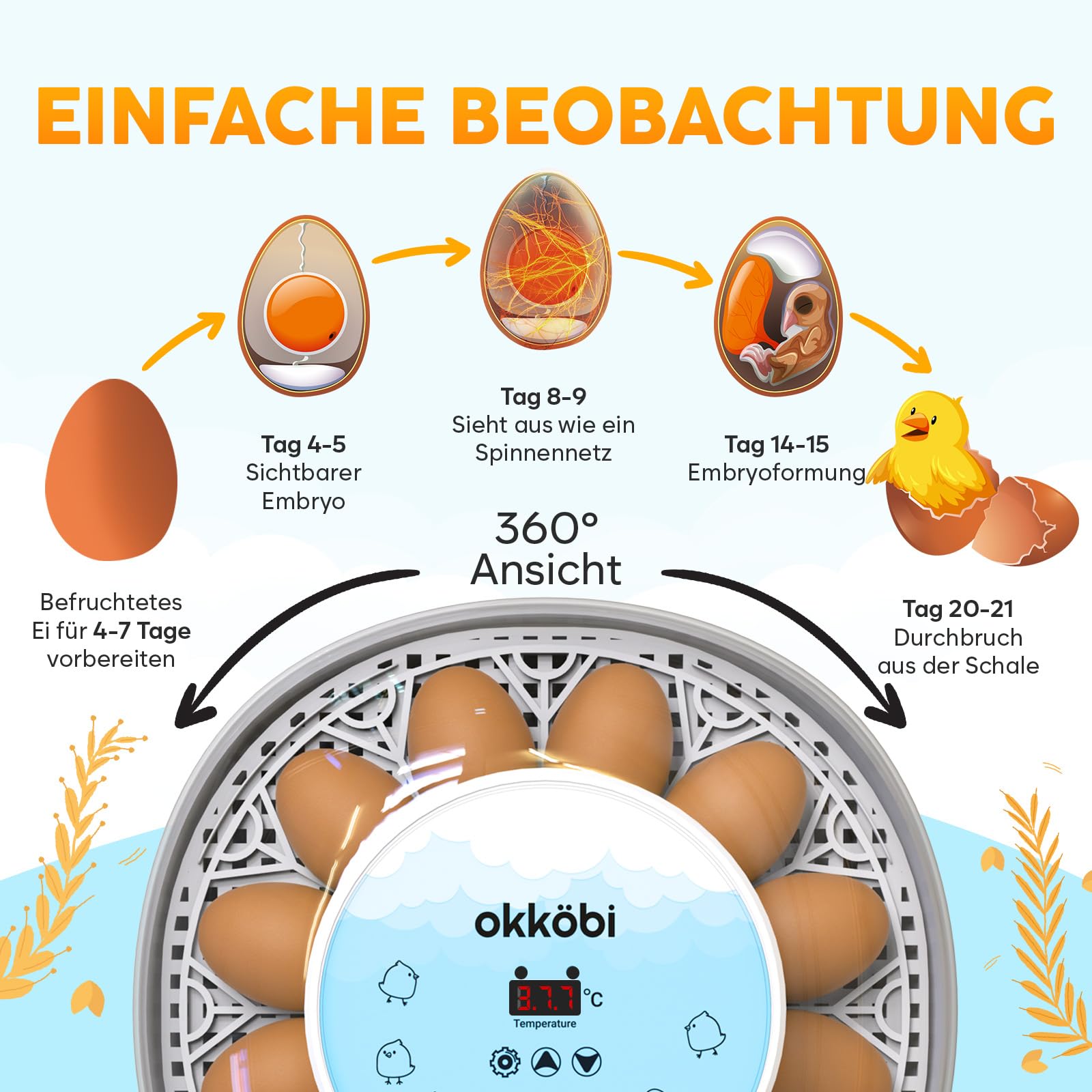 M12 Brutkasten mit Wendefunktion und Feuchtigkeitskontrolle für Eier