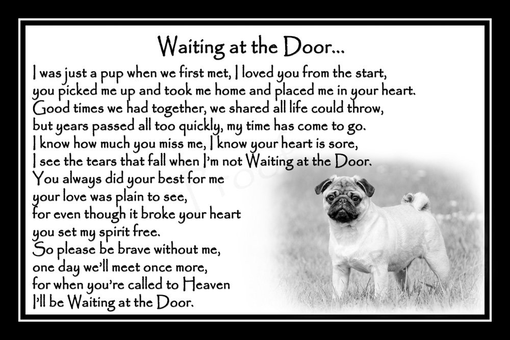 Countrystyle Gifts Black Pug Pet Dog Bereavement Sympathy Memorial Print (Unframed) - Waiting At The Door
