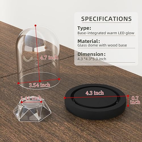 Miniatura 2 de DuvinDD Cúpula de cristal con base de luz LED para encimera, tarro de exhibición de cristal transparente, 4.33 pulgadas de profundidad x 4.7