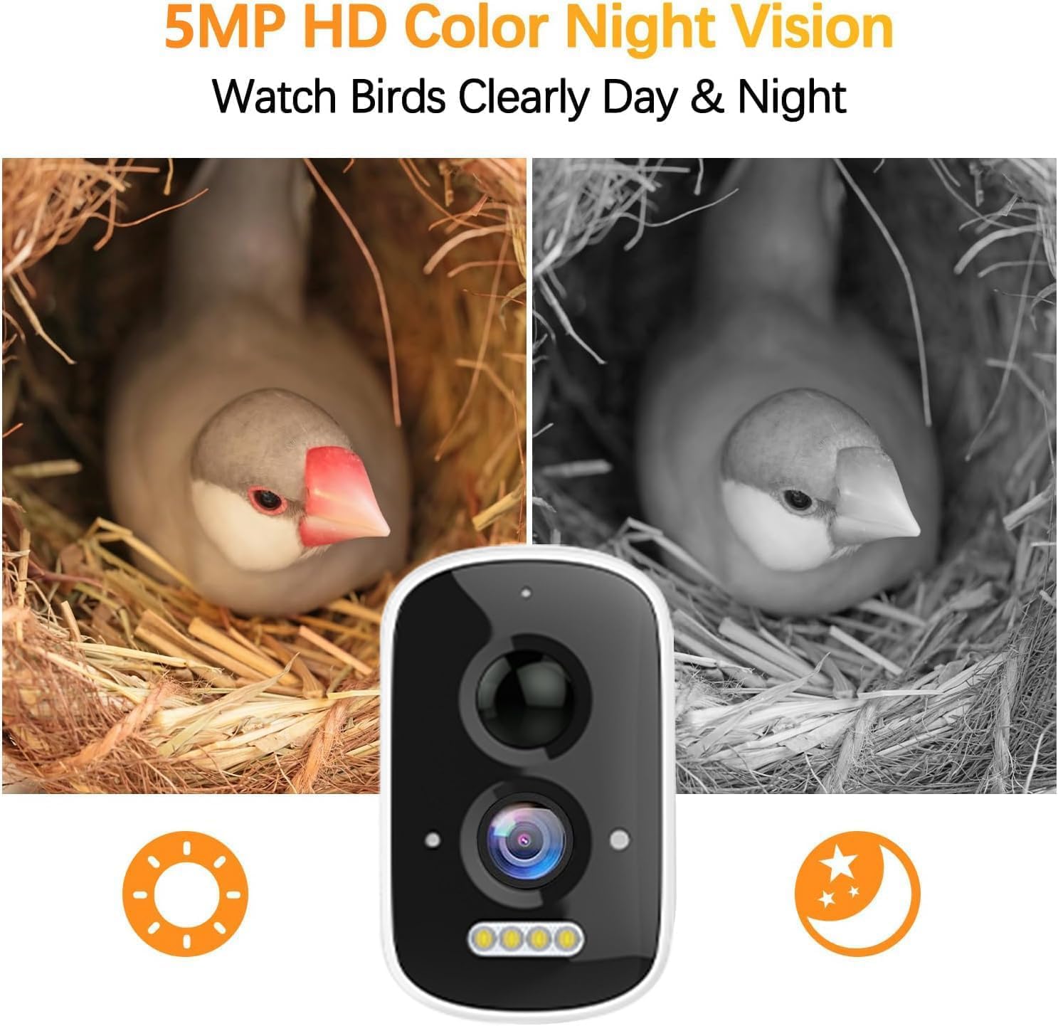 Comparison of day and night vision from the birdhouse camera, showing a bird in its nest.