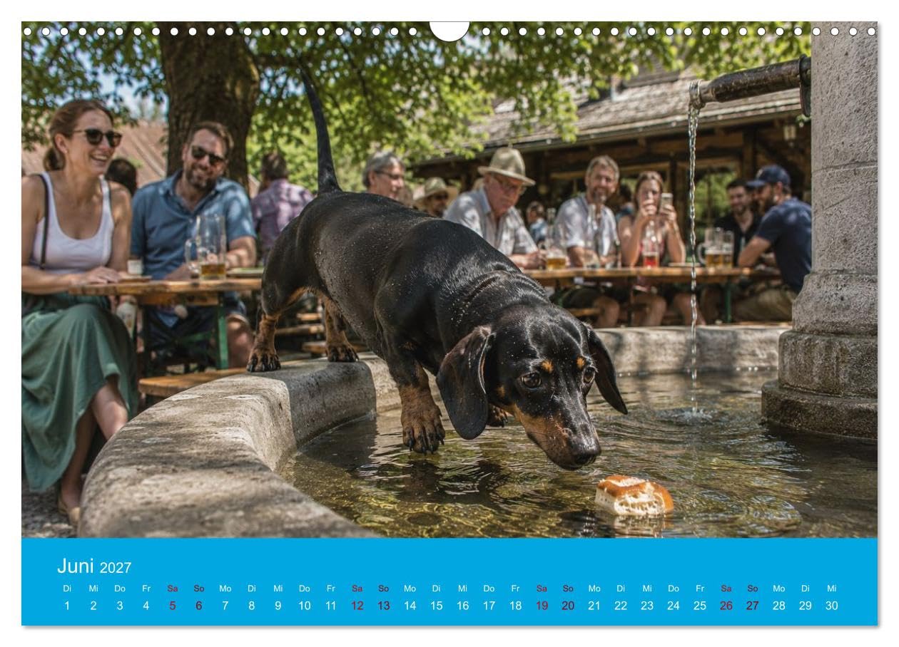 Calendrier 2027 · Teckels, bière et bretzels