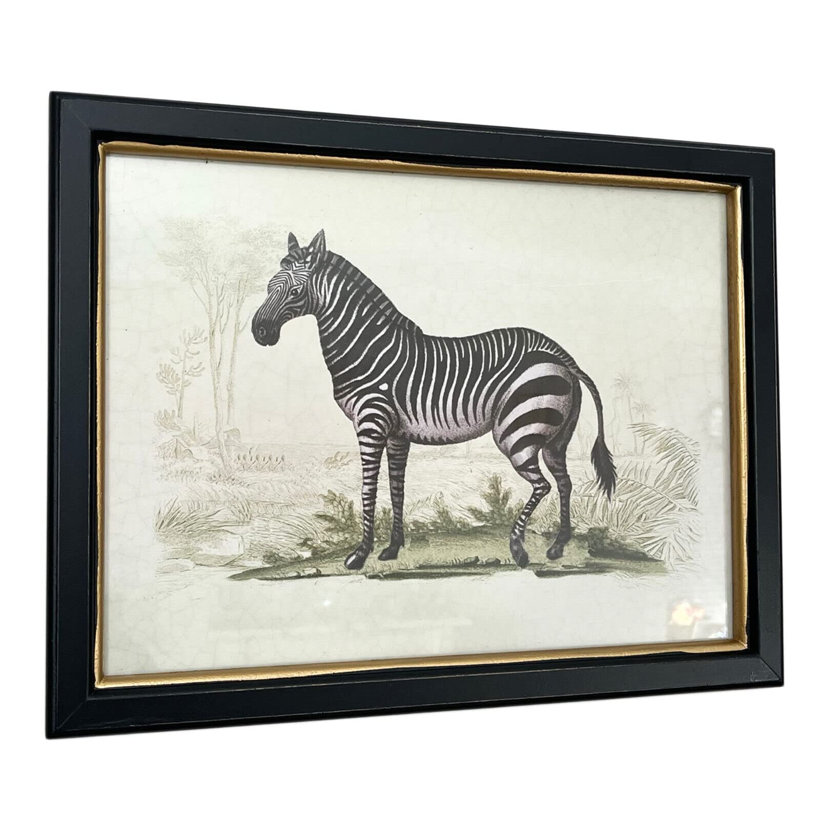 Darthome Zebra Elephant Giraffe Framed Wall Art Safari Animal Home Decorative Print Horizontal Artwork (Zebra)