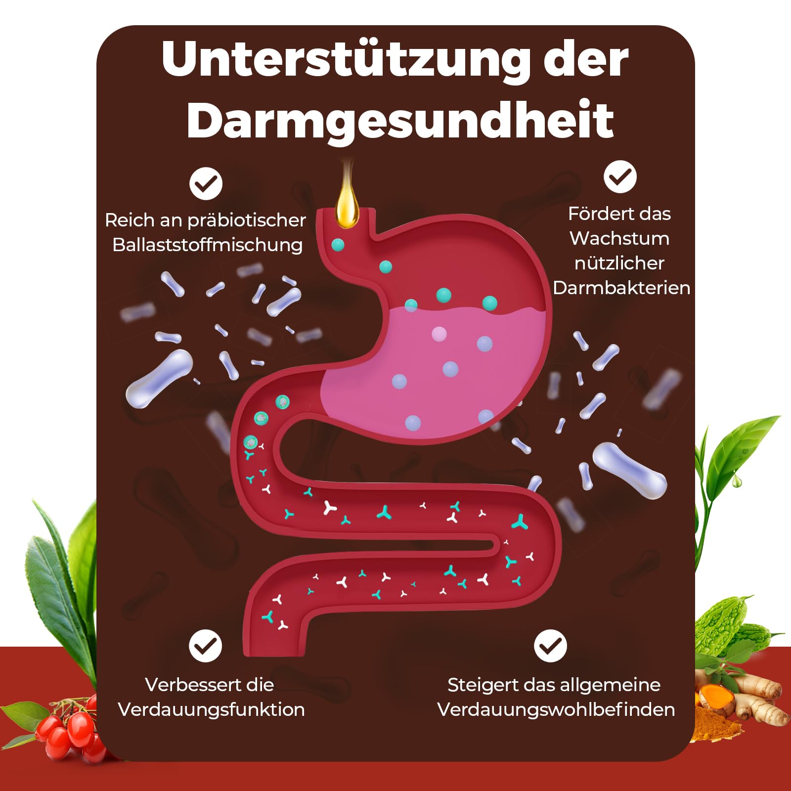 Liposomale Berberin Tropfen, 3000mg Blutzucker-Unterstützung, mit Grüntee-Extrakt, Ceylon-Zimt und Ingwerwurzel, 60 ml