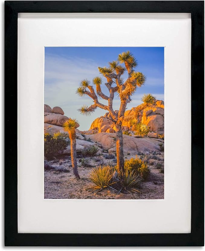 A PLUS MAX 20x24 matted to 16x20 Black Solid Wood Picture Frame/20x24