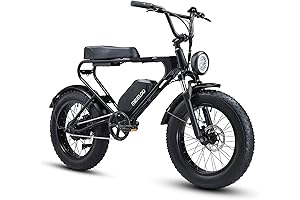 Rad Power Bikes: Conquer Any Terrain with Electric Bikes for Adults