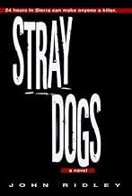 Stray Dogs