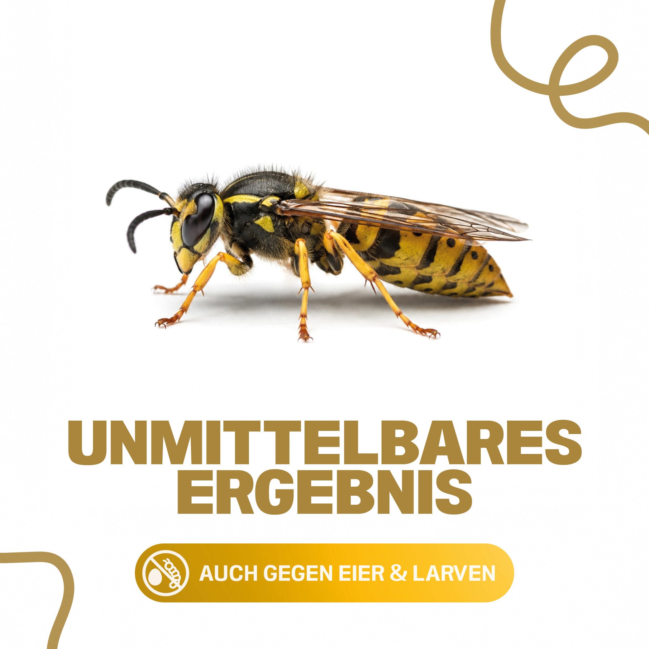 INSIGO Anti Wespen Spray 5l Kanister + 5L Drucksprüher - Wespenmittel mit mechanischer Wirkung - Effektive Abwehr für Wespen - Wespen Spray mit Sofortwirkung