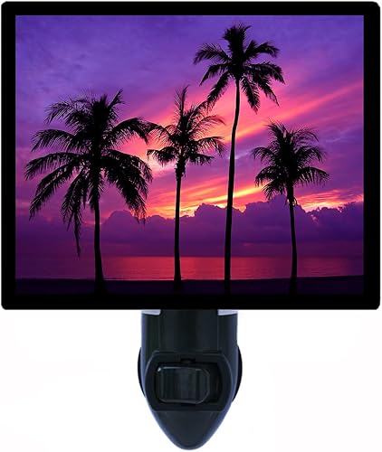 Luz nocturnacasi Paraíso TropicalPalmera Puesta de sol