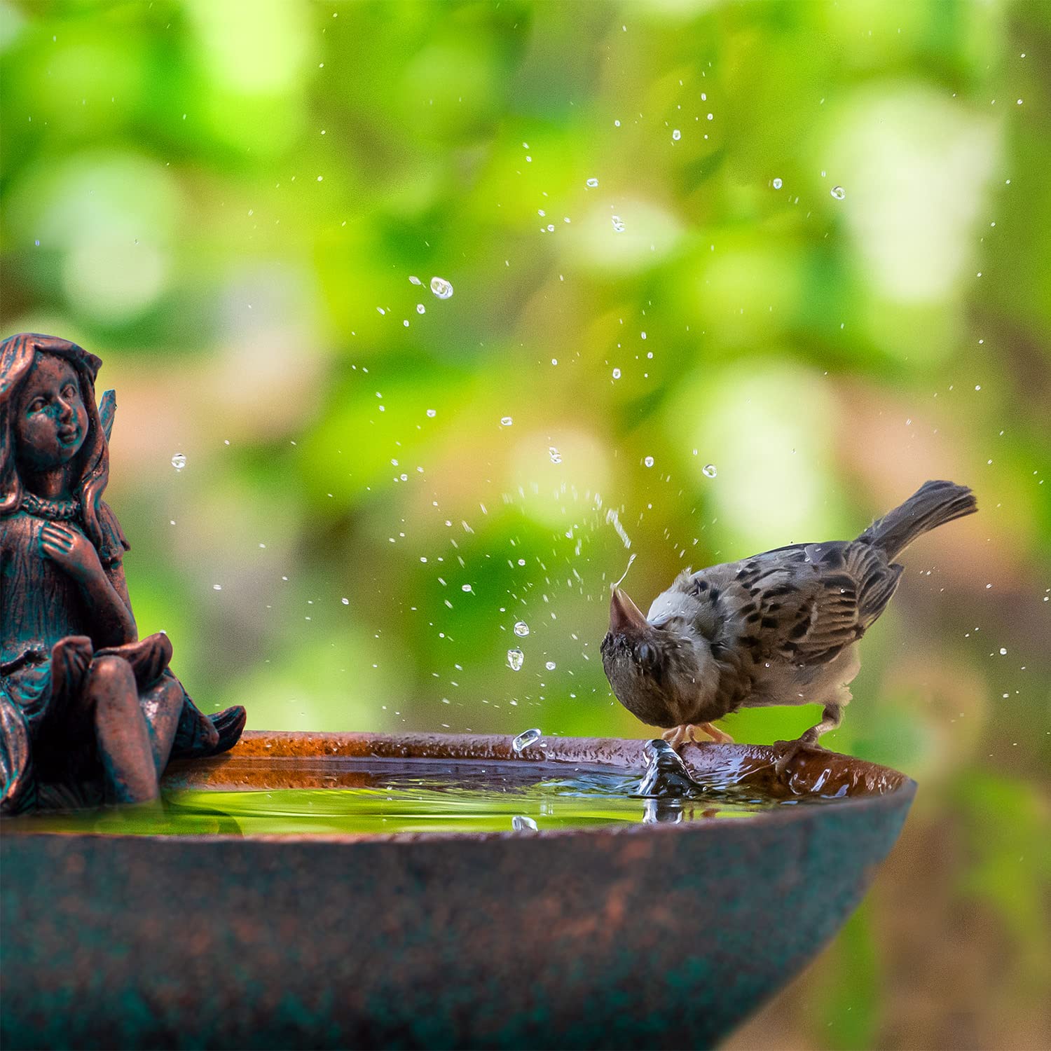 Juego de 5 bebederos para pájaros pequeños, bebedero para insectos para jardín, decoración para balcón, baño para pájaros, jardín y balcón