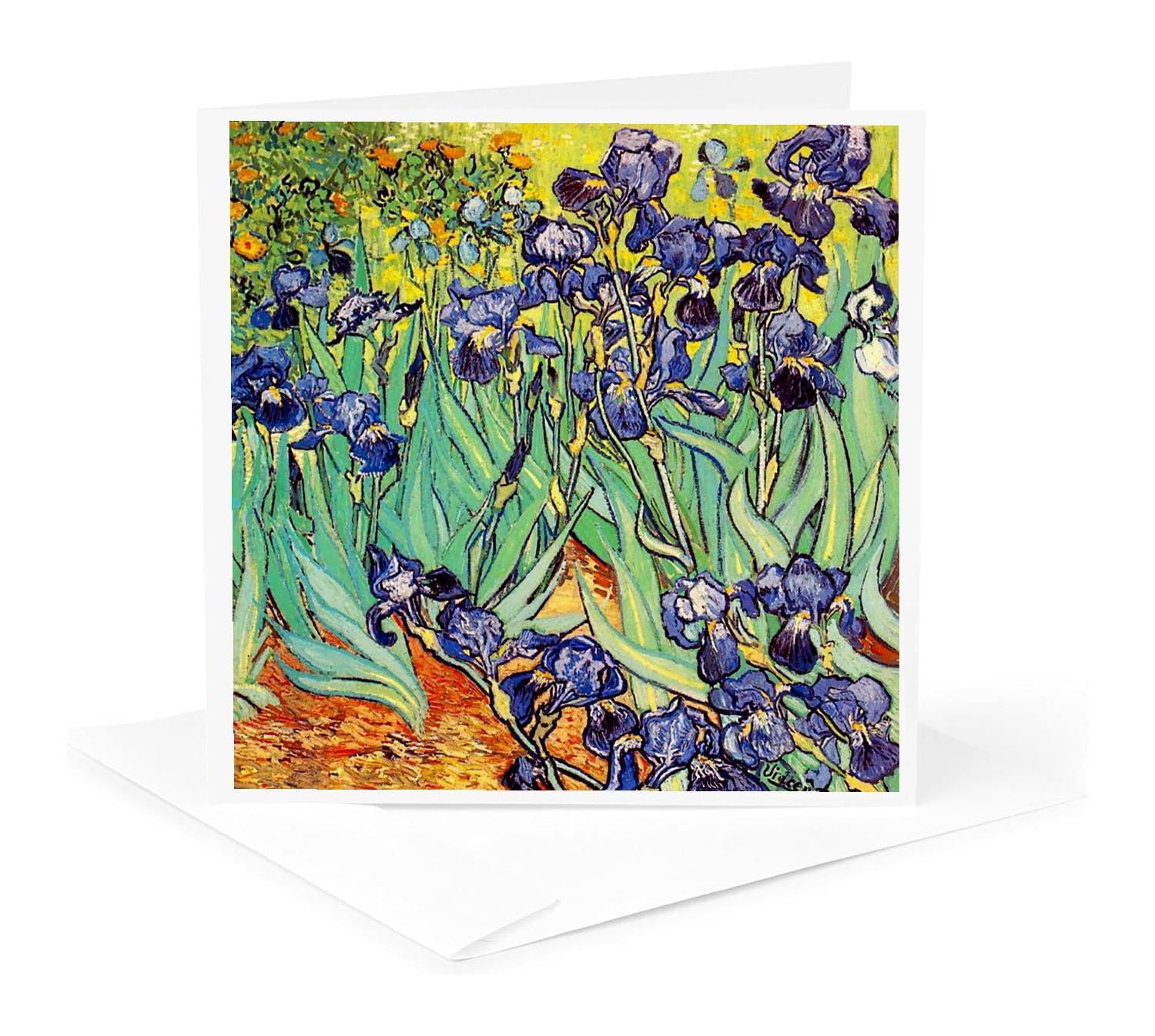 3dRose Ht_155630_3 Irises By Vincent Van Gogh 1889 - View #9
