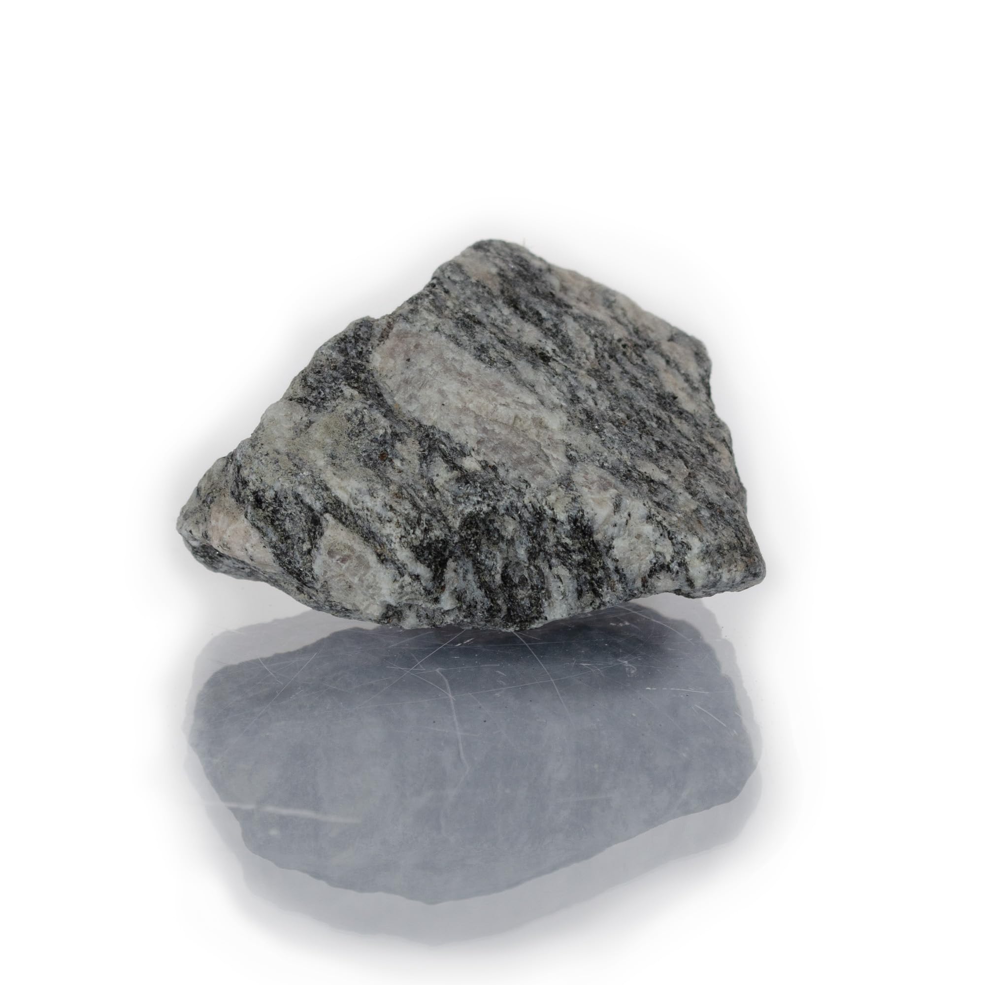 Eisco – Raw Biotite Gneiss Rock Sample Approx 2.75" – Coarse-Grained Foliated Metamorphic Rock – Geologic Teaching Specimen for Earth Science Labs, Mineral Identification, Classroom Collections