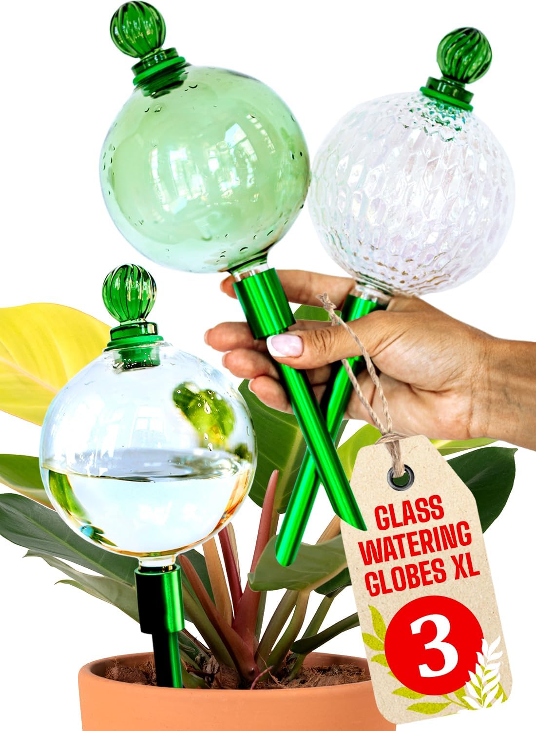 3pcs 16 Oz Plant Watering Globes for Indoor Plants with Metal Self Watering Planter Insert - Premium XL Glass Hand-Blown Globes - Automatic Plant Waterer Indoor, Gift Idea for Gardeners [3 Globes]