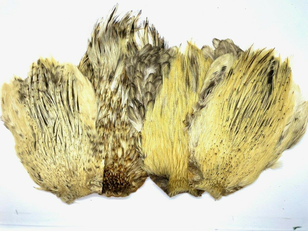 Cock Neck Feather Natural Colours for Fly Tying, Art and Craft (A) (White - Cream)