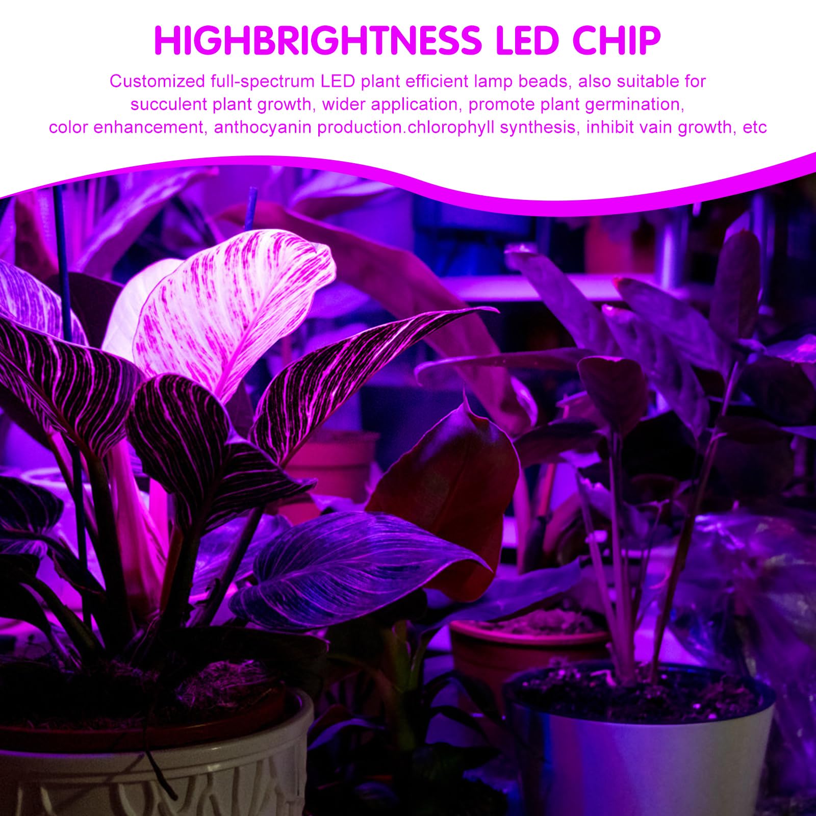 100W LED UV Luz Negra LED Spotlight, Lámpara de Luz Negra IP66 Impermeable, UV Spotlight Para la Decoración de la Etapa de Luz de Halloween Concierto Fiesta Banda bar Rendimiento Decoración