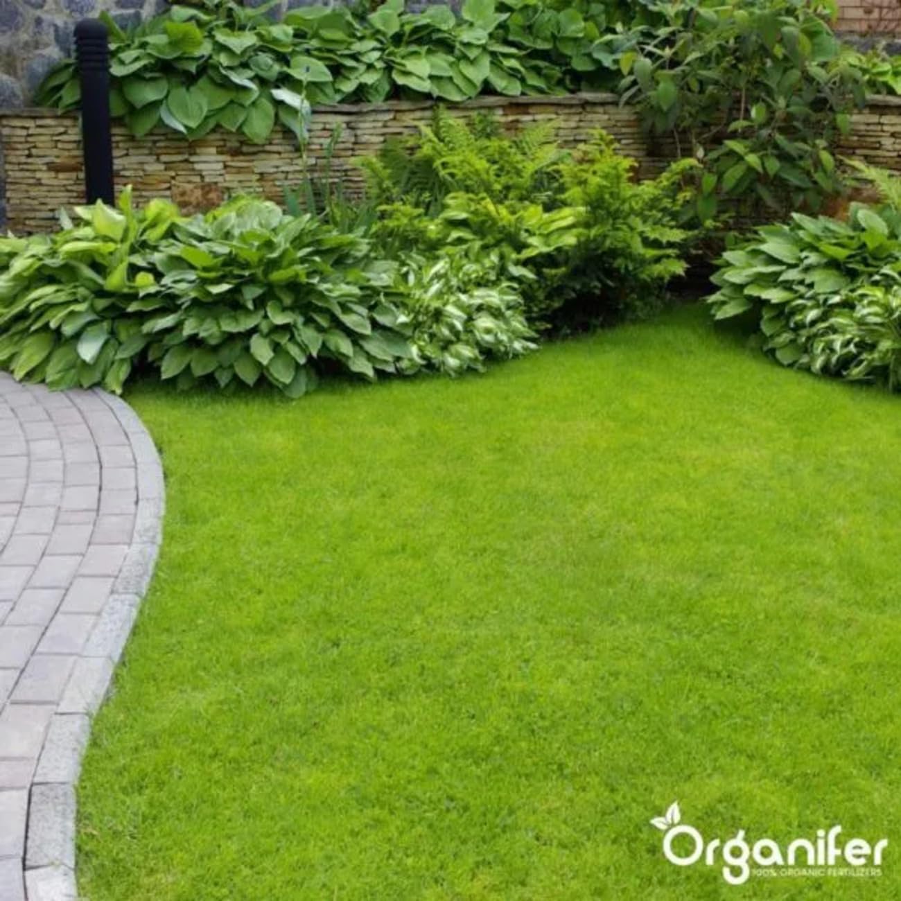 Fumier De Vache 3-En-1 En Granulés - 20 Kg - 200 M2 - Engrais Organique Universel - Npk 2-2-3 - Fertilisants Pour Potager, Gazon, Jardin - À Partir De Fumier De Vache 100% Pur - Organifer